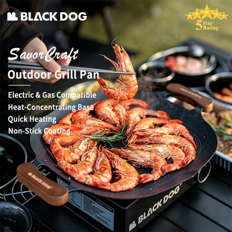 BLACKDOG Non-Stick BBQ Grill P - Induction Cooktop Portable 评论和价格